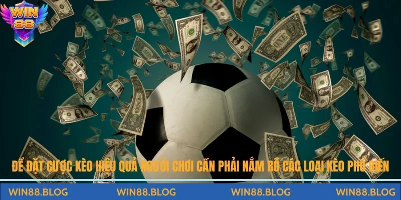 Đặt cược kèo Châu Á hiệu quả, cần phải nắm rõ các loại kèo phổ biến